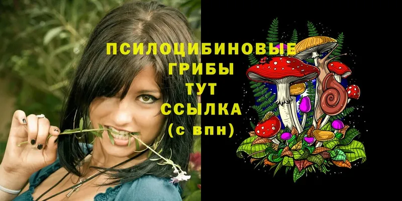 OMG ссылка  Истра  Галлюциногенные грибы MAGIC MUSHROOMS  наркотики 